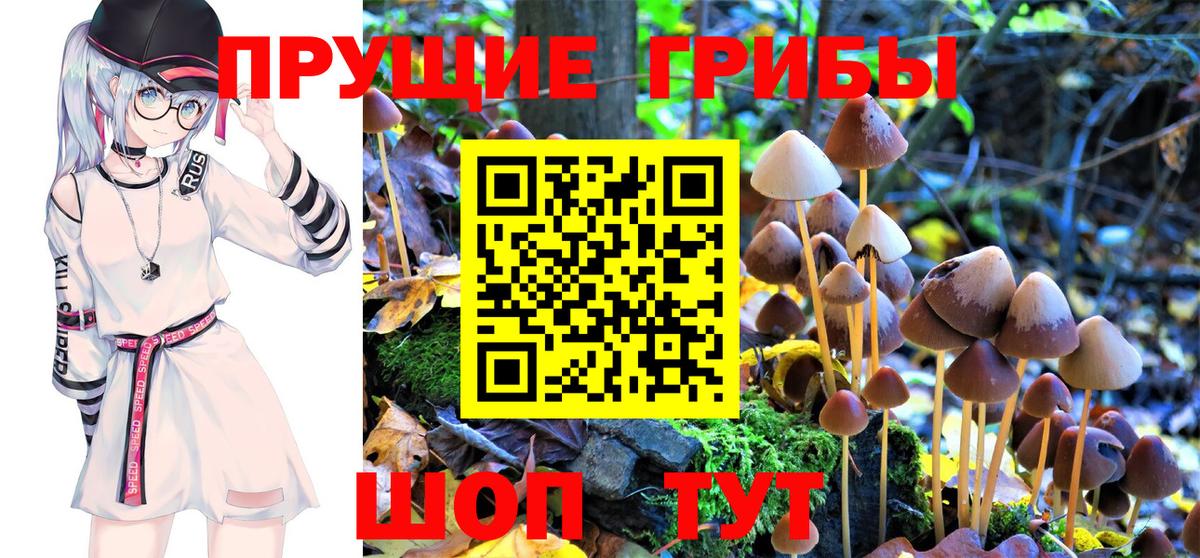 Псилоцибиновые грибы Magic Shrooms Узловая